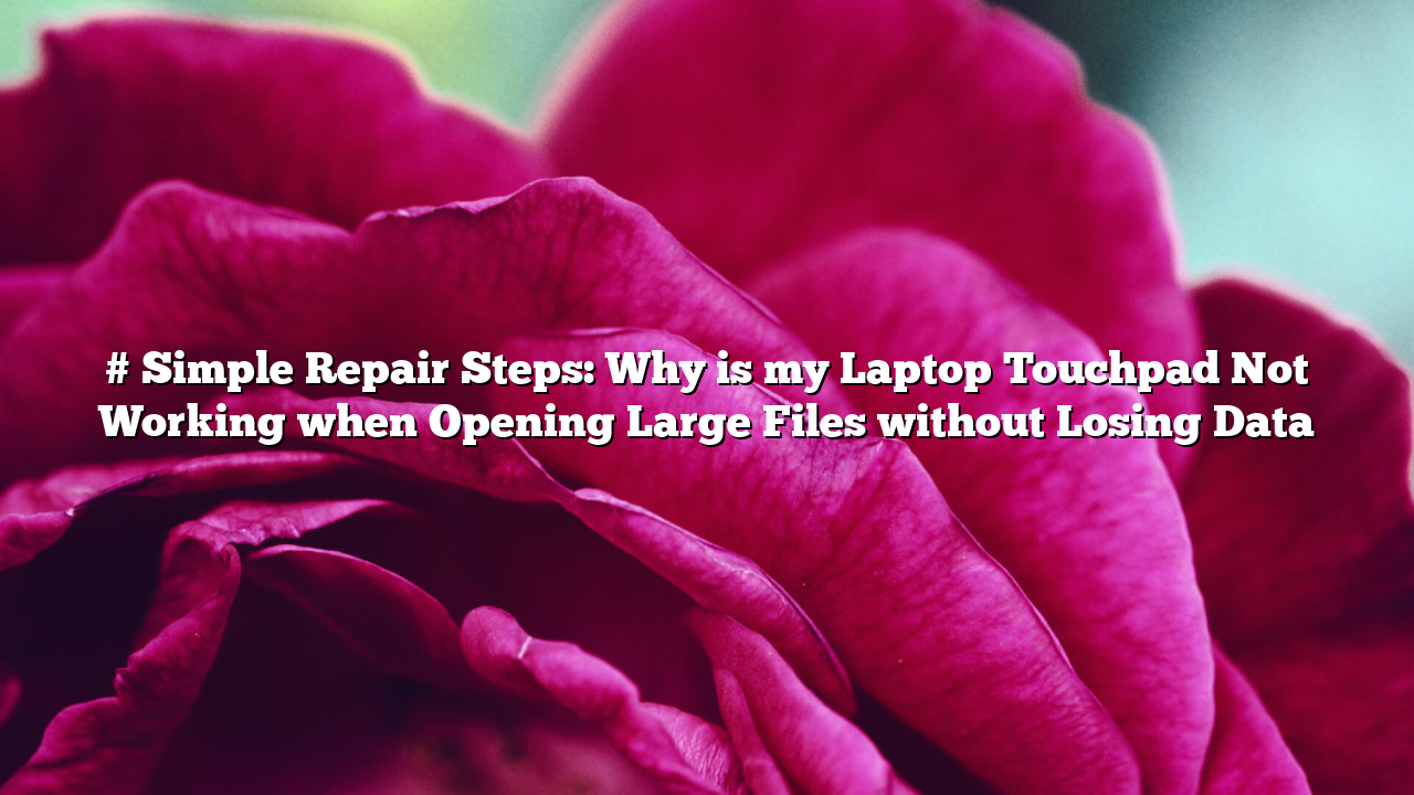 # Simple Repair Steps: Why is my Laptop Touchpad Not Working when Opening Large Files without Losing Data