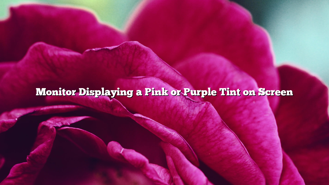Monitor Displaying a Pink or Purple Tint on Screen