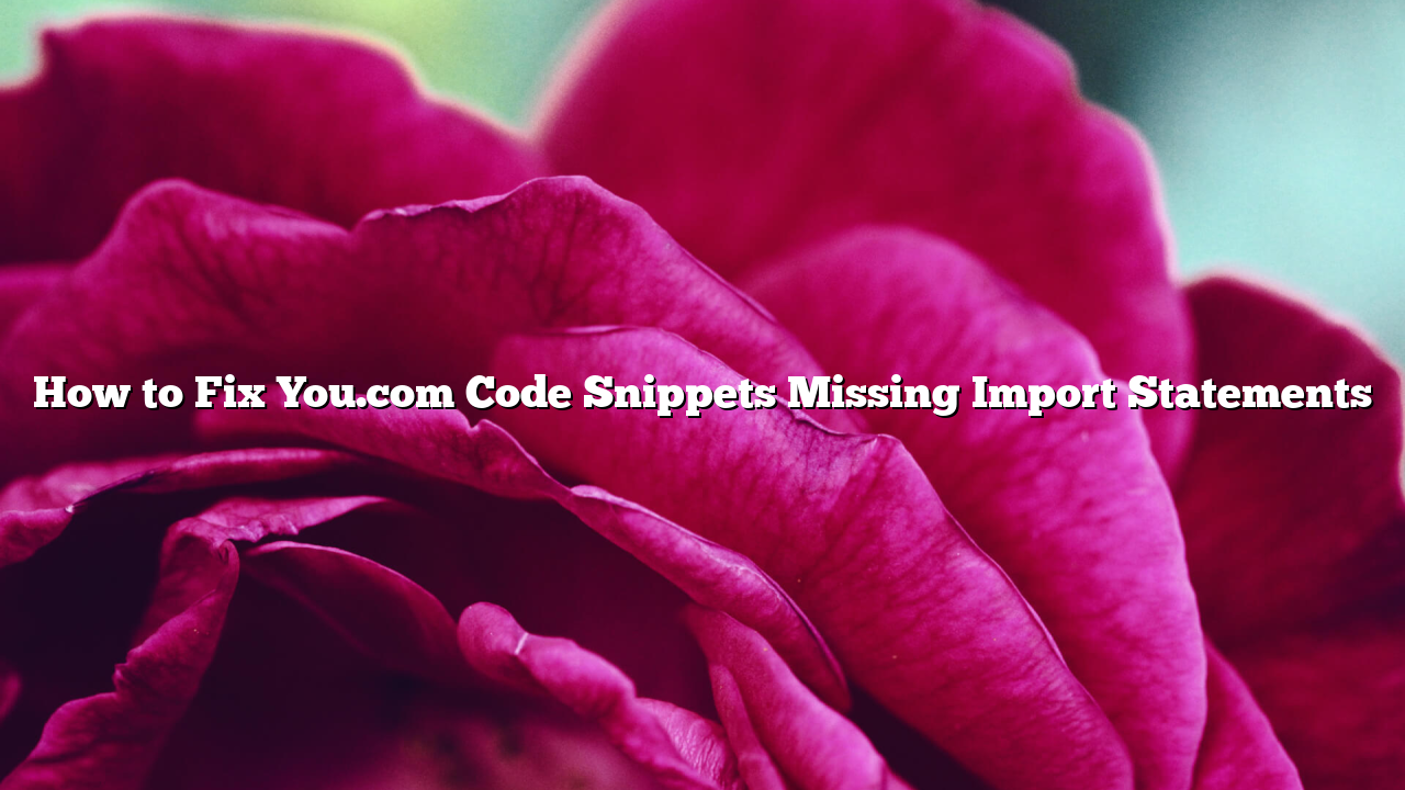How to Fix You.com Code Snippets Missing Import Statements